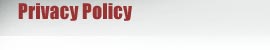 privacy statement 